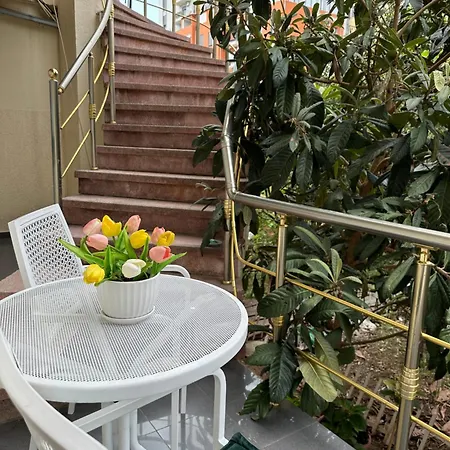 Fun House Serenity *